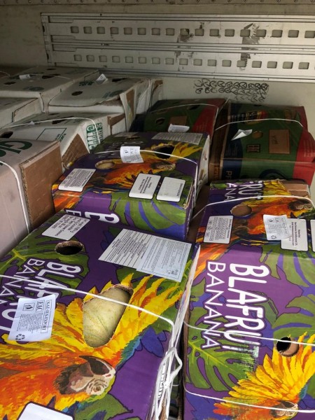 Через оренбургскую таможню пытались провезти 155 тонн нелегальной продукции