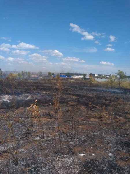 В Оренбурге в&nbsp;центре города горит кладбище