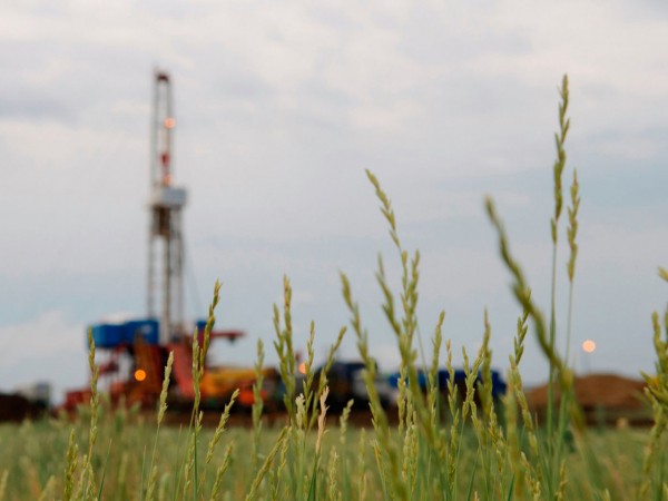 На западе Оренбуржья обнаружили новое месторождение нефти