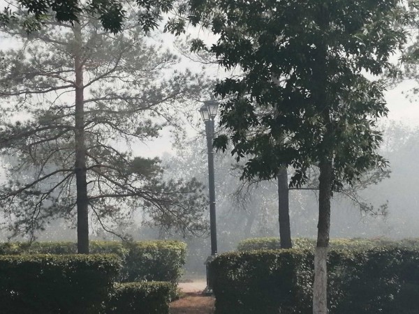 В Оренбурге в&nbsp;центре города горит кладбище