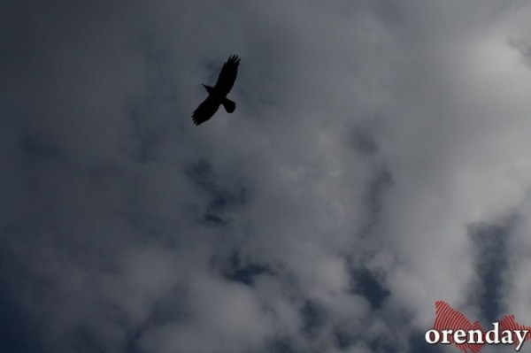 В Оренбуржье пройдут дожди и грозы