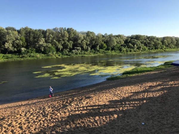 Как спасти Урал? Паслер озаботился проблемой гибели реки