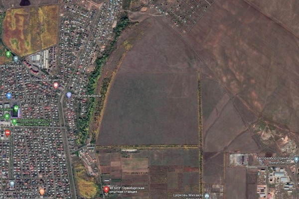 В Оренбурге на земле плодопитомника намерены возвести многоэтажные дома В Оренбурге на земле плодопитомника намерены возвести многоэтажные дома