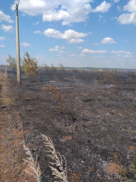 В Оренбурге в&nbsp;центре города горит кладбище