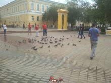 Оренбуржцы покормили голубей и поддержали хабаровчан