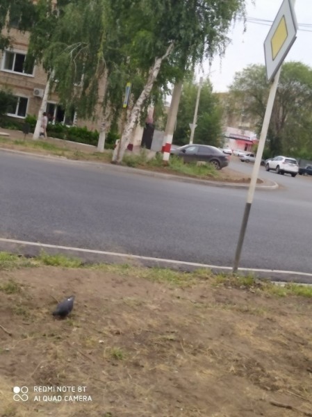 Бузулучане возмущены переносом пешеходного перехода