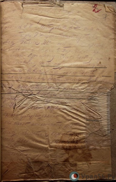 
Орские яблоки, за которые император отдал золотые часы: история легендарного Перовского сада		