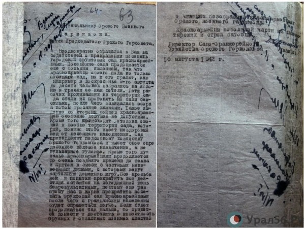 
Орские яблоки, за которые император отдал золотые часы: история легендарного Перовского сада		