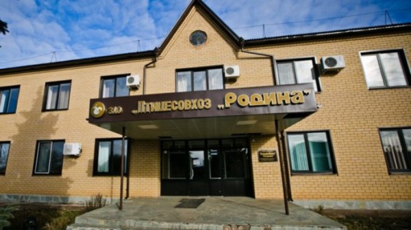 Денис Паслер озвучил план спасения «Родины» Денис Паслер озвучил план спасения «Родины»