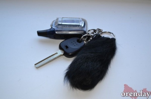 Постоять в очереди недостаточно: на каких условиях многодетные оренбуржцы могут получить автомобиль