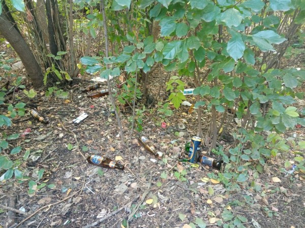 Бузулукские школьники ходят на занятия сквозь заросли и свалку