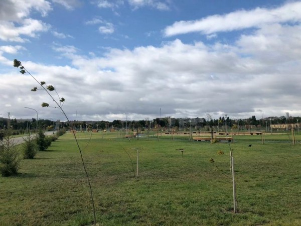 Недосмотрел: из-за халатности чиновника бюджет Гайского округа лишился 2,7 млн. рублей