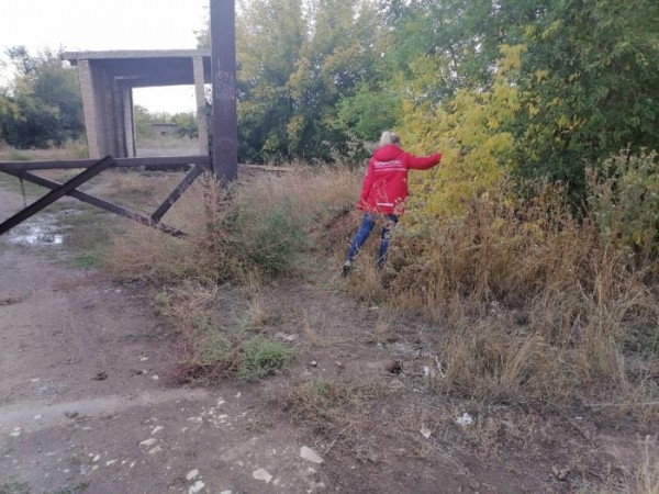 Не найдена: в Оренбуржье продолжаются поиски бабушки из Нежинки