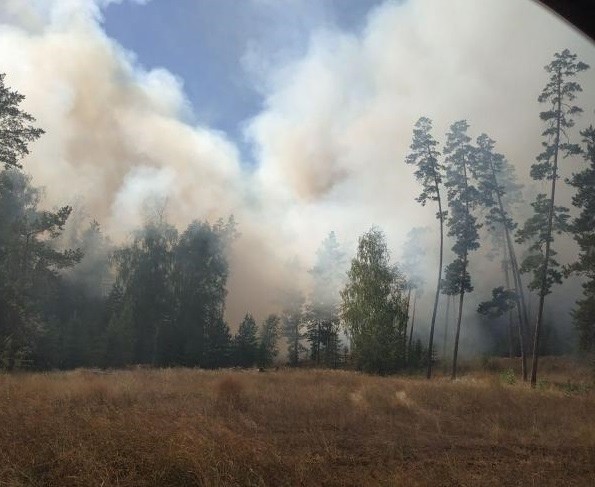 На локализацию пожара в Бузулукском бору потребовалось два часа