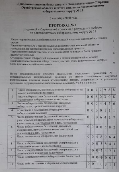 10 процентов оренбуржцев пошли на выборы и испортили бюллетени