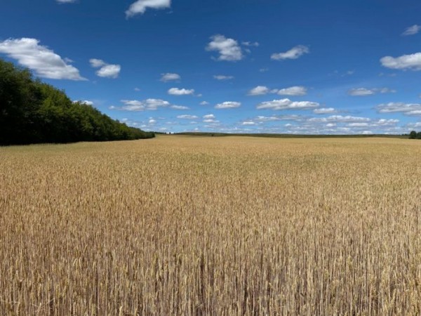 Игнат Петухов рассказал об инвестициях в Оренбуржье, развитии бизнеса в регионе и особой экономической зоне