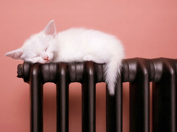 Тепло появилось в 2639 оренбургских многоквартирных домах Тепло появилось в 2639 оренбургских многоквартирных домах