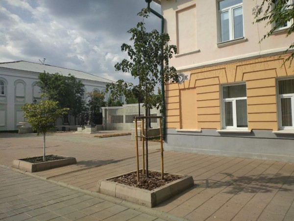 Озеленение Оренбурга &ndash; наше общее дело