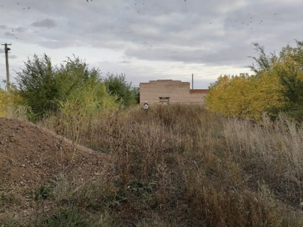 Не найдена: в Оренбуржье продолжаются поиски бабушки из Нежинки