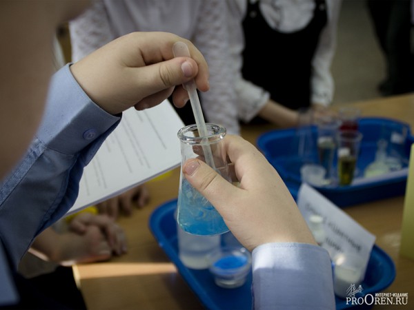 Оренбургские школьники могут учиться на дому