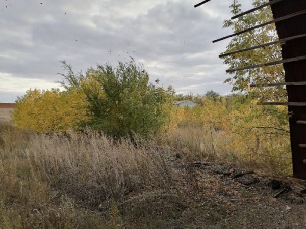 Не найдена: в Оренбуржье продолжаются поиски бабушки из Нежинки