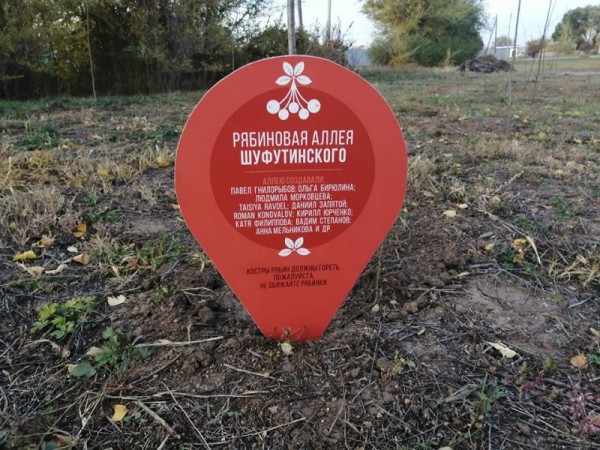 И снова третье сентября: горят ли костры рябин в Бузулуке?