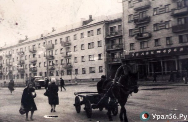 
&laquo;В целях недопущения порчи дорог конским транспортом&raquo;: как власти Орска запретили разбивать асфальт подковами		