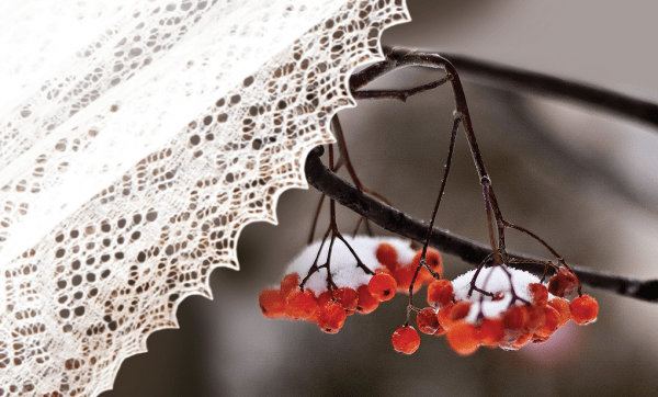 С 12 по 18 октября в Оренбурге пройдут онлайн-мероприятия в рамках акции «Дни оренбургского пухового платка» С 12 по 18 октября в Оренбурге пройдут онлайн-мероприятия в рамках акции «Дни оренбургского пухового платка»