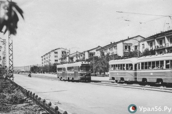 
&laquo;В целях недопущения порчи дорог конским транспортом&raquo;: как власти Орска запретили разбивать асфальт подковами		