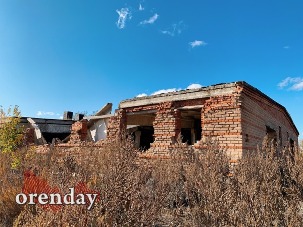 Родной город. Или чем славилась Орская биофабрика