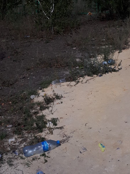 В Медногорске детская площадка становится похожа на свалку