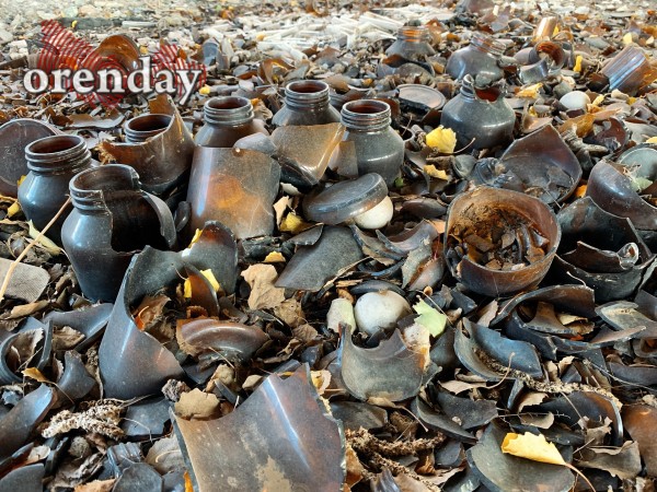 Родной город. Или чем славилась Орская биофабрика