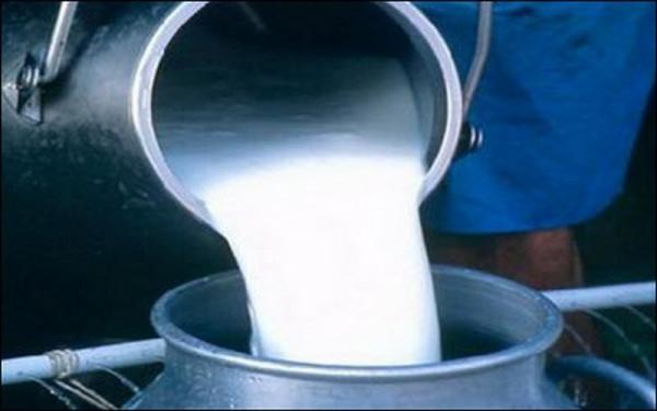 Космонавтам МКС отправят молочные продукты из Оренбуржья