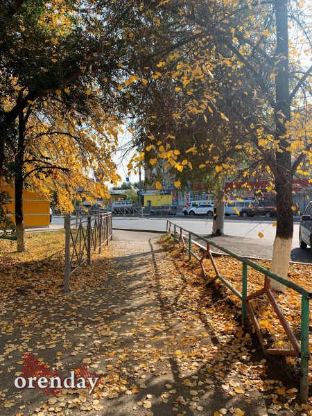 В Оренбуржье наступила золотая осень. Фоторепортаж