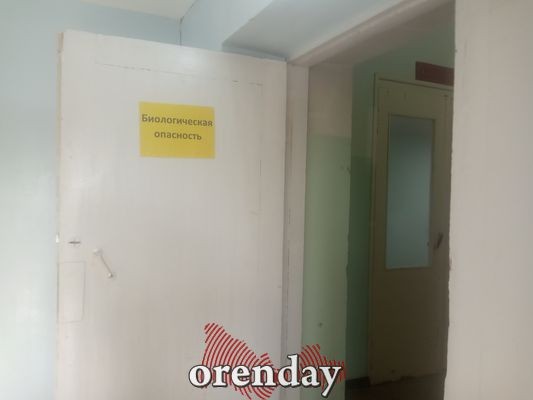 Оренбуржцы жалуются, что брошены в ковид-центре &laquo;один на один&raquo; с болезнью