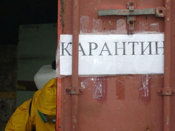 В Оренбуржье введен карантин по бешенству В Оренбуржье введен карантин по бешенству