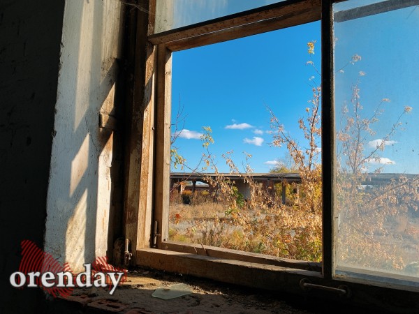 Родной город. Или чем славилась Орская биофабрика