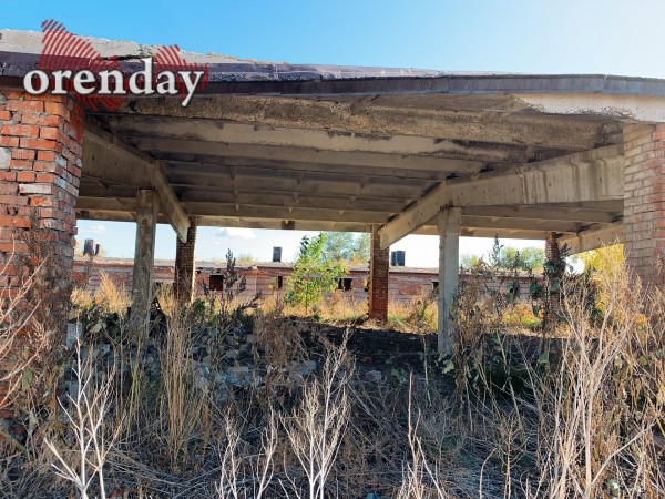 Родной город. Или чем славилась Орская биофабрика