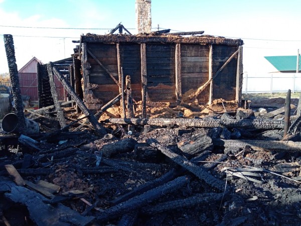 В Бузулукском районе на пожаре пострадал двухлетний ребенок (18+)