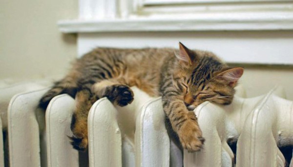 К зиме готовы: в &laquo;Росводоканал Оренбург&raquo; завершилась подготовка к холодам