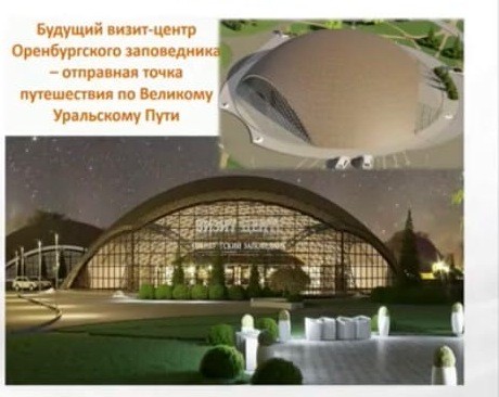 В Оренбуржье привезут лошадей Пржевальского из США и Канады. Рафиля Бакирова рассказала о развитии экотуризма