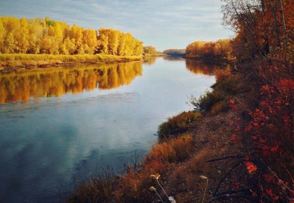 Погода в Оренбуржье на неделю: надвигаются холода и осадки