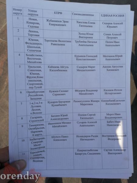 Бывшие кандидаты в депутаты вышли на пикет под окна губернатора Оренбуржья