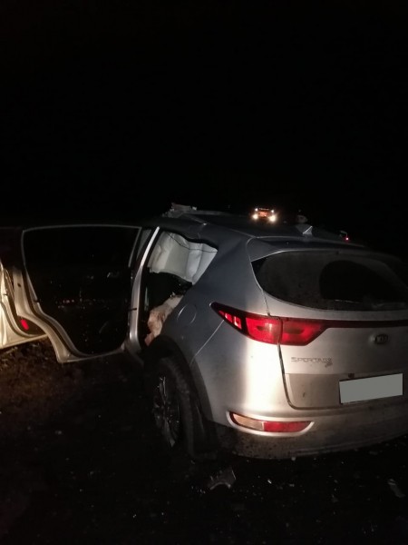 Два человека погибли и восемь пострадали в аварии на трассе Казань-Оренбург (18+)