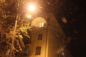 Прогноз погоды на 25 ноября