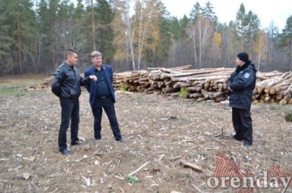 Судьбу мандата Владимира Фролова отсрочили из-за поездки в Бузулукский бор