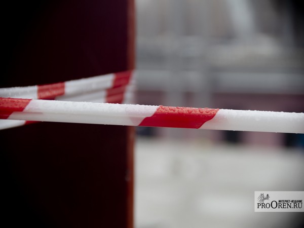 В Оренбуржье с двух сел сняли карантин по бешенству