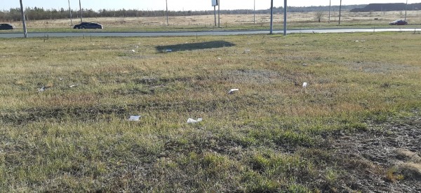 Центр гигиены и эпидемиологии Оренбуржья разбирается, как оказались на улице бланки тестов на COVID-19