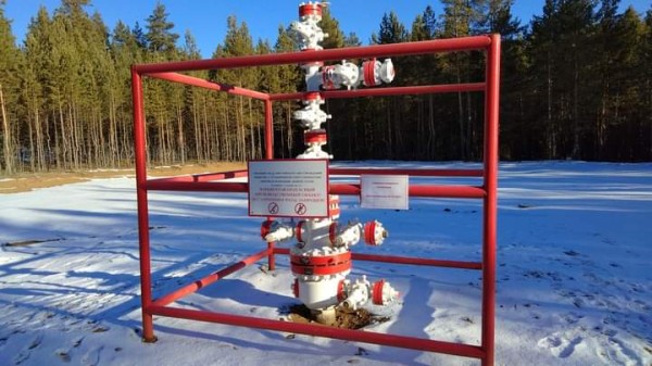 Бузулукский бор: заповедная зона утопает в валежнике, а диких животных отстреливают прямо в местах прикорма Бузулукский бор: заповедная зона утопает в валежнике, а диких животных отстреливают прямо в местах прикорма