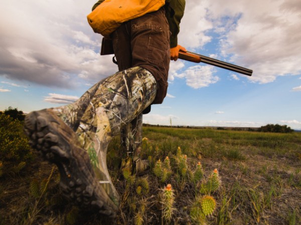 Охотовед из Оренбуржья убил двух сибирских косуль